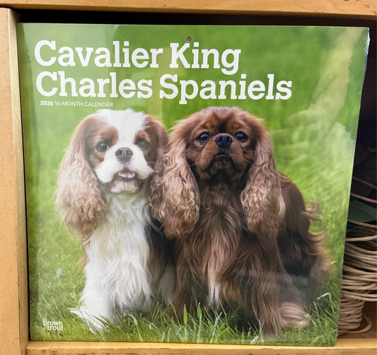 Calendar 2026 Cavalier King Charles Spaniels